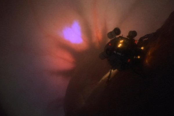 Кракен даркнет маркет ссылка тор