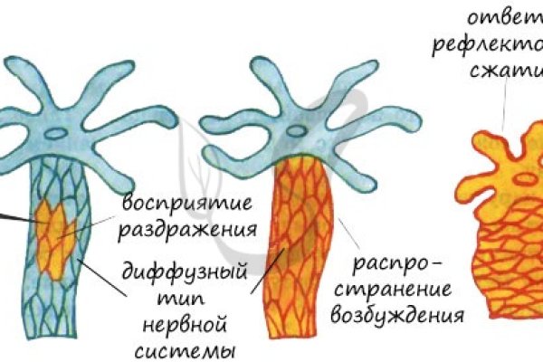 Кракен ссылка маркет