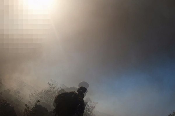 Пользователь не найден кракен что делать