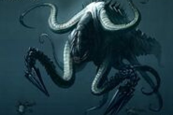 Kraken17 at